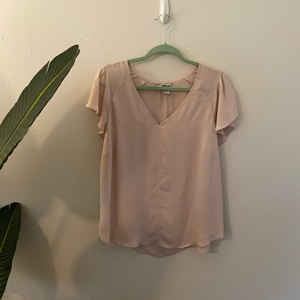 Sheer Pink Blouse